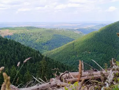 Naturlandschaft in der Nähe des Ferienhauses