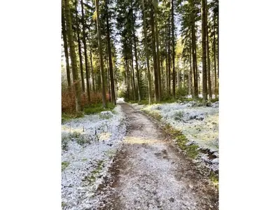Holiday apartment with 3 bedrooms im Winter
