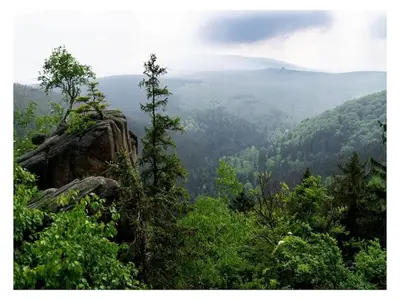 Naturlandschaft in der Nähe des Ferienhauses
