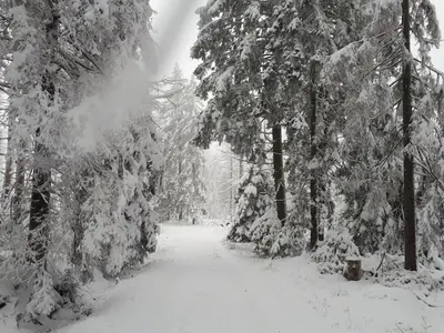 Holiday home in the Harz Mountains with 3 bedrooms im Winter