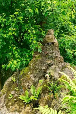 Naturlandschaft in der Nähe des Ferienhauses