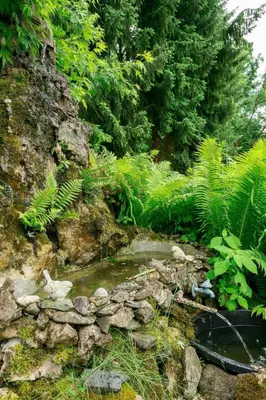 Naturlandschaft in der Nähe der Ferienwohnung