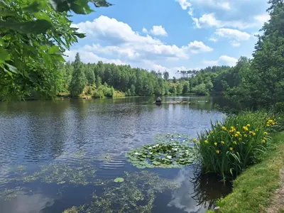 Naturlandschaft in der Nähe des Ferienhauses