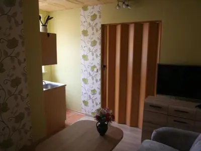 TV/Unterhaltungsangebot in der Unterkunft Apartment Gästehaus Tröbs by Interhome