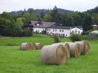 Naturlandschaft in der Nähe der Ferienwohnung