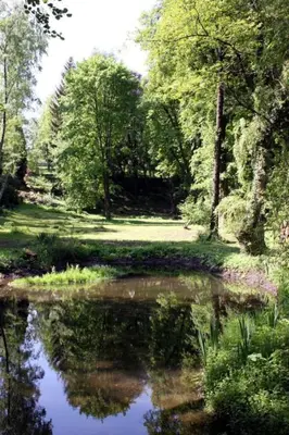 Naturlandschaft in der Nähe der Ferienwohnung