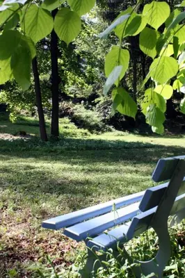 Ein Garten an der Unterkunft Apartment Wohlfühloase für Natur- und Gartenliebhaber by Interhome