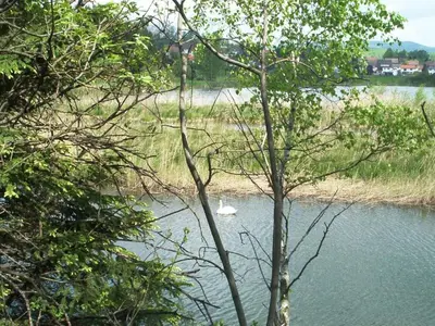 Naturlandschaft in der Nähe der Ferienwohnung
