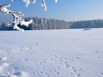 Apartment Wohnung in Hohegeiß mit Grill und Garten by Interhome im Winter