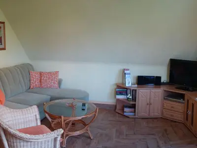 TV/Unterhaltungsangebot in der Unterkunft Apartment Dorle by Interhome