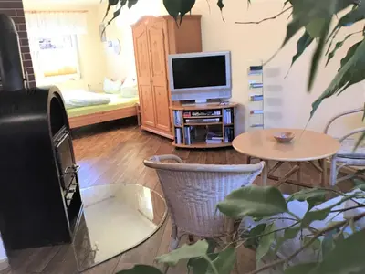 TV/Unterhaltungsangebot in der Unterkunft Apartment Anna by Interhome
