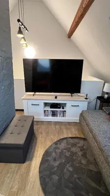 TV/Unterhaltungsangebot in der Unterkunft Ferienwohnungen Grubenweg 8 Bad Harzburg