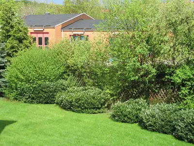 Ein Garten an der Unterkunft Ferienwohnung Harzburg-City