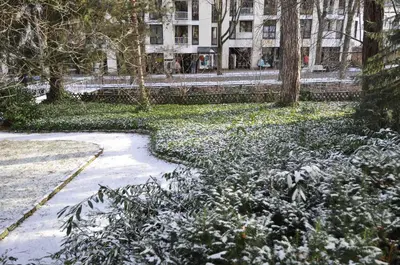 Ferienwohnung Martin I im Winter