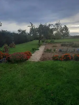Ein Garten an der Unterkunft Ferienwohnung Brockenblick