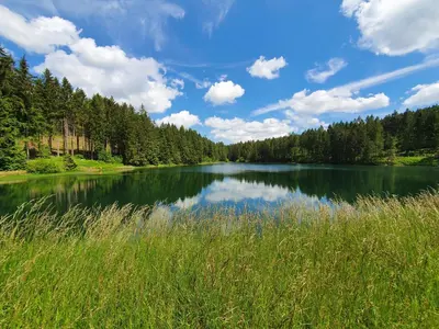 Naturlandschaft in der Nähe der Ferienwohnung