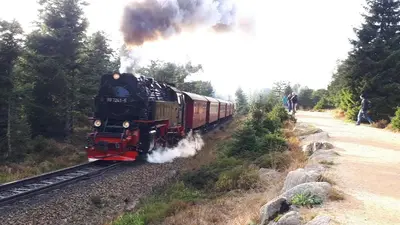 Grundriss der Unterkunft Harz Blick
