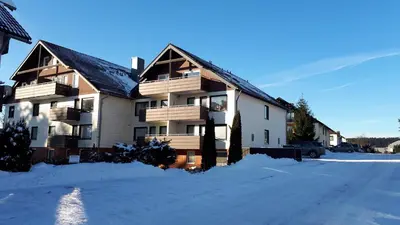 Harz Blick im Winter