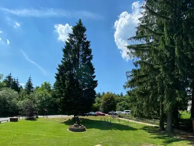 Ein Garten an der Unterkunft Apartment Ferienapartm- Adler by Interhome