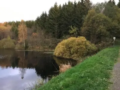 Naturlandschaft in der Nähe der Ferienwohnung