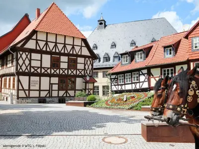 Das Gebäude in dem sich die Ferienwohnung befindet
