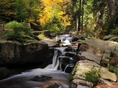 Naturlandschaft in der Nähe des Ferienhauses