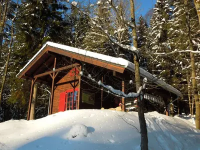 Holiday Home Blockhaus Bodefall by Interhome im Winter