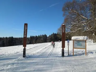 Holiday Home Blockhaus Bodefall by Interhome im Winter