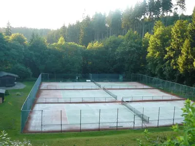 Tennis und/oder Squash in der Unterkunft Apartment Vier Jahreszeiten 6 by Interhome oder in der Nähe