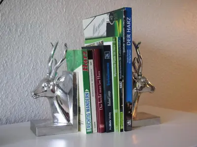Die Bibliothek in der Ferienwohnung