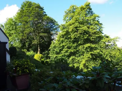 Ein Garten an der Unterkunft Apartment Harzgrün by Interhome