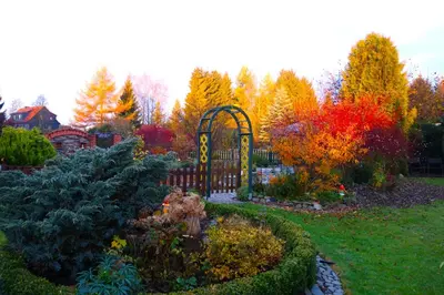 Ein Garten an der Unterkunft Ferienwohnung Anna