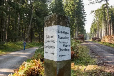 Naturlandschaft in der Nähe des Ferienhauses