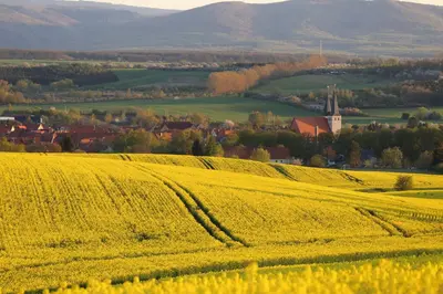 Naturlandschaft in der Nähe der Ferienwohnung
