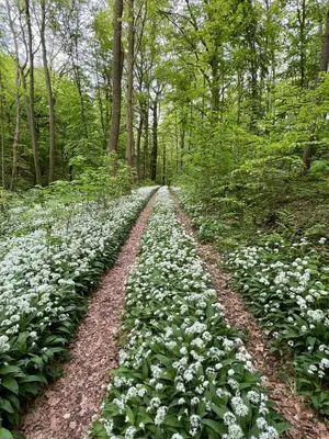 Naturlandschaft in der Nähe der Ferienwohnung