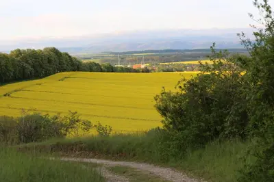 Naturlandschaft in der Nähe der Ferienwohnung