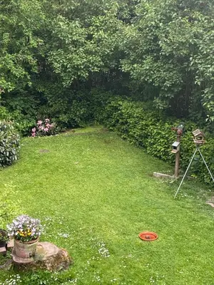Ein Garten an der Unterkunft Eichhörnchenblick