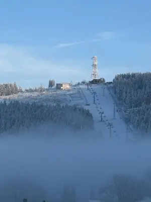Eichhörnchenblick im Winter