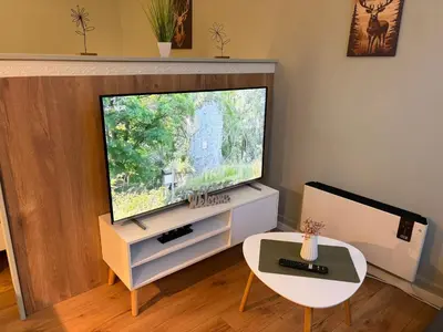 TV/Unterhaltungsangebot in der Unterkunft Appartement Königshütte