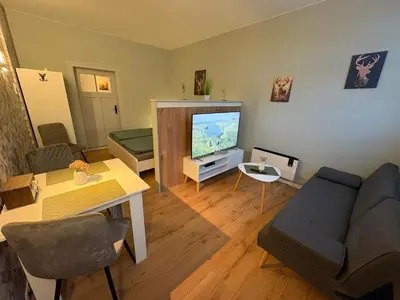 TV/Unterhaltungsangebot in der Unterkunft Appartement Königshütte