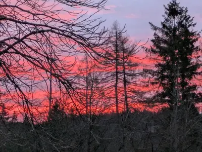 Blick auf den Sonnenuntergang/Sonnenaufgang von der Ferienwohnung aus oder aus der Nähe