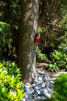 Ein Garten an der Unterkunft Ferienhaus Giesela ****
