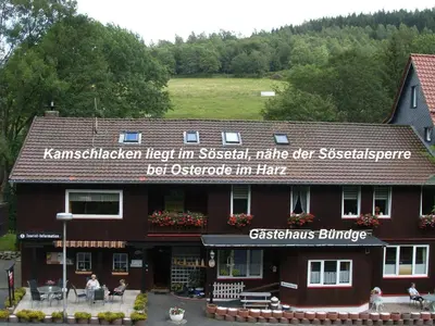 Naturlandschaft in der Nähe der Ferienwohnung