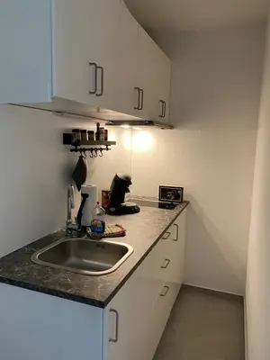 Küche/Küchenzeile in der Unterkunft Ferienwohnung Schneewittchen