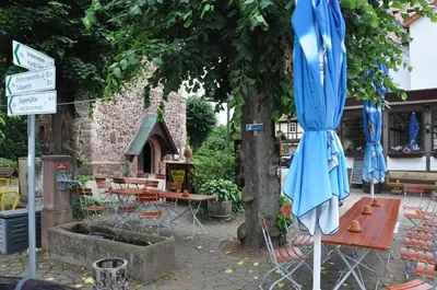 Ein Garten an der Unterkunft Hotel Ratskeller