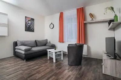 TV/Unterhaltungsangebot in der Unterkunft Le petit Palais - Apartments