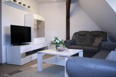 TV/Unterhaltungsangebot in der Unterkunft Apartments anno 1560