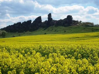 Naturlandschaft in der Nähe der Ferienwohnung