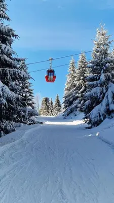 Fewo Schröder - Harzflair - inklusive Bettwäsche im Winter