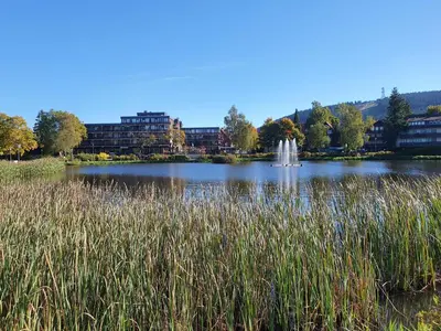 Naturlandschaft in der Nähe der Ferienwohnung